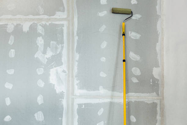 Best Crawl Space Mold Remediation  in Thompson, ND