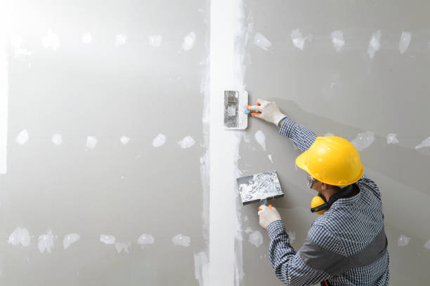 Best Mold Prevention Services  in Thompson, ND