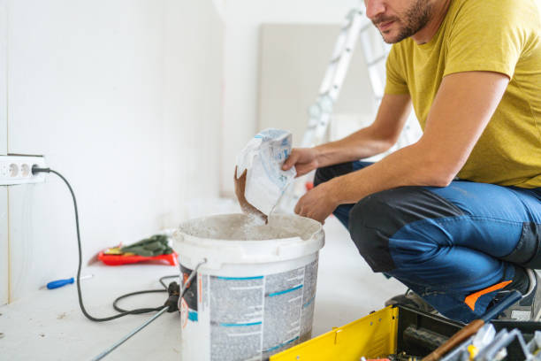 Best Mold Remediation for Healthcare Facilities  in Thompson, ND