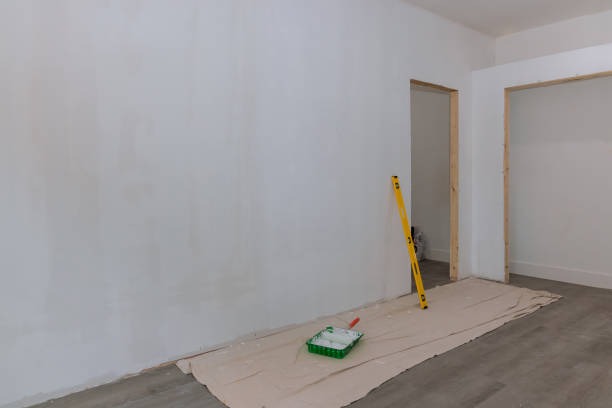Best Industrial Mold Remediation  in Thompson, ND