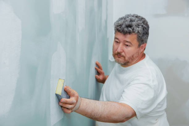 Best Biohazard Mold Removal  in Thompson, ND