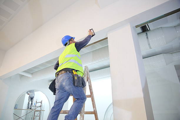 Best Environmental Consulting for Mold Prevention  in Thompson, ND